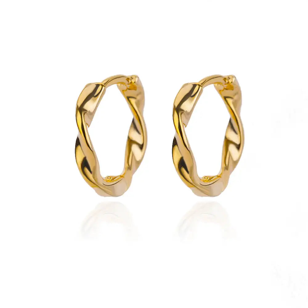Stainless Steel Hoops